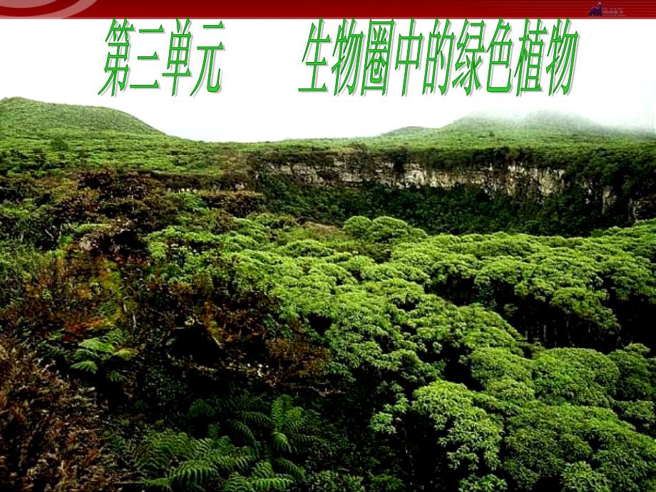 藻类、苔藓和蕨类植物PPT.ppt_第1页