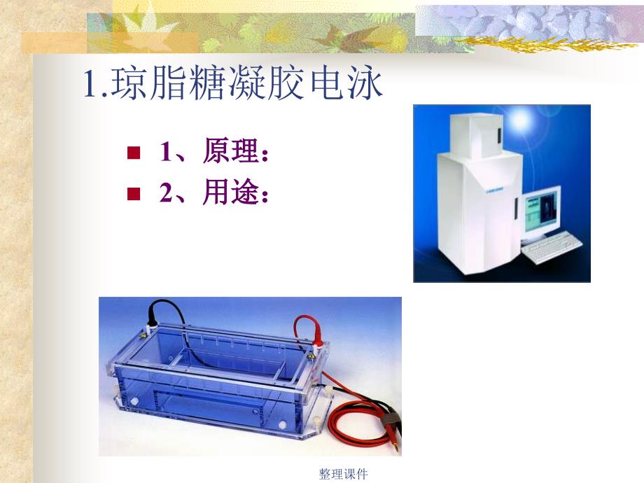 new分子生物学研究方法_第4页