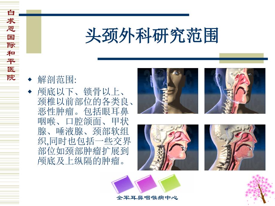 头颈外科的历史、现状和发展 【精品课件】_第4页