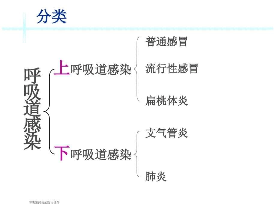 呼吸道感染的防治课件_第5页