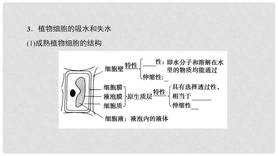 高三生物一轮复习 第2单元 细胞的物质输入与输出课件 新人教版必修1_第4页