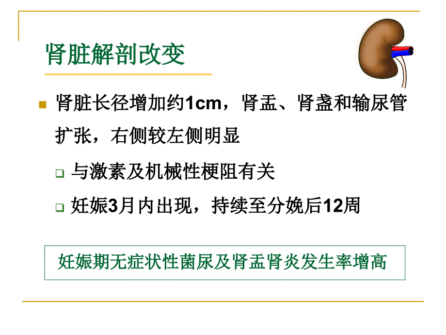 妊娠与肾脏PPT课件_第3页