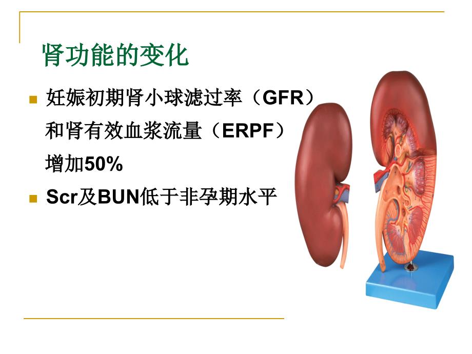 妊娠与肾脏PPT课件_第4页