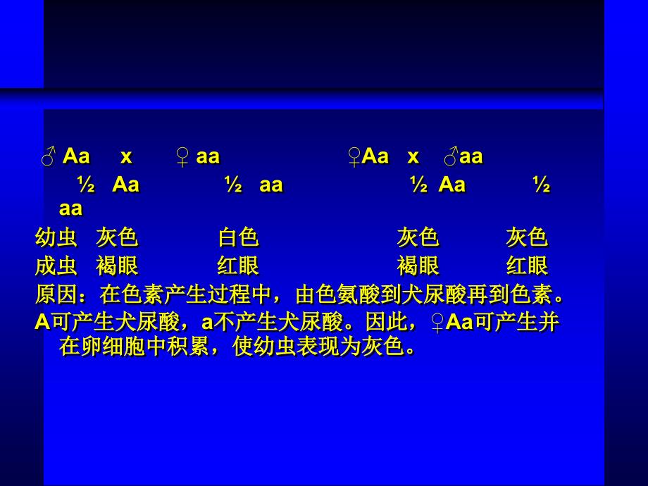 第八章核外遗传_第3页