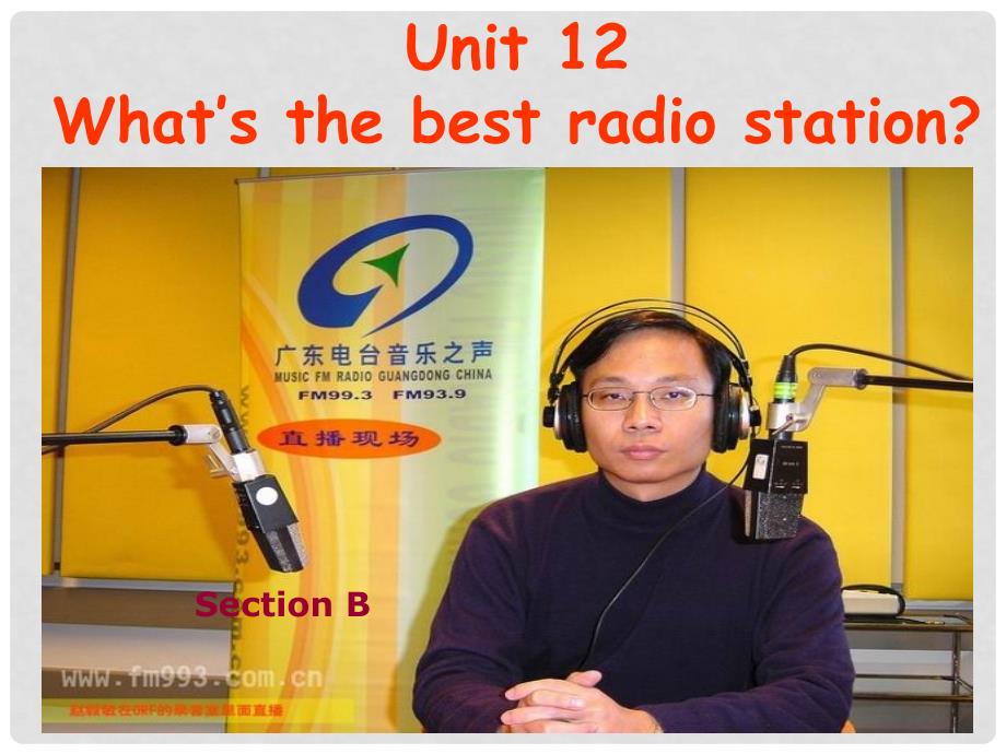 辽宁省凌海市石山初级中学八年级英语上册《Unit 12 What’s the best radio station》SectionBself课件 人教新目标版_第1页