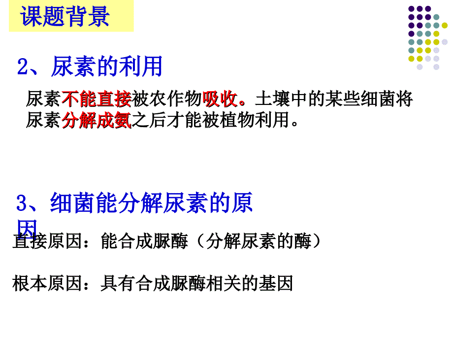 公开课用土壤中分解尿素的细菌的分离与计数_第3页