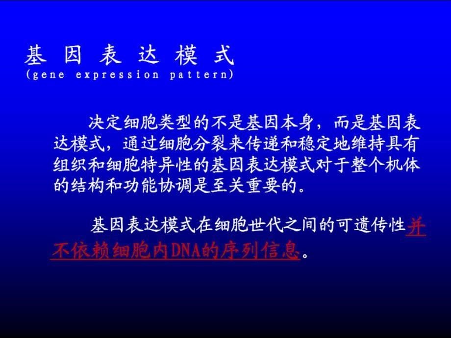 表观遗传学的DNA修饰与基因表达_第5页