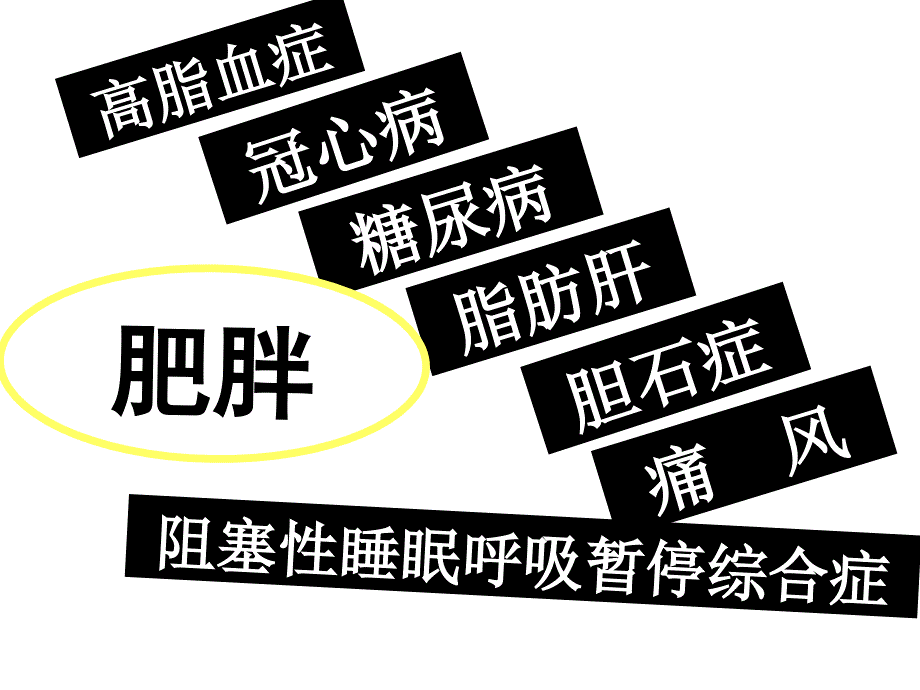 第10章脂代谢Mic演示文稿_第2页