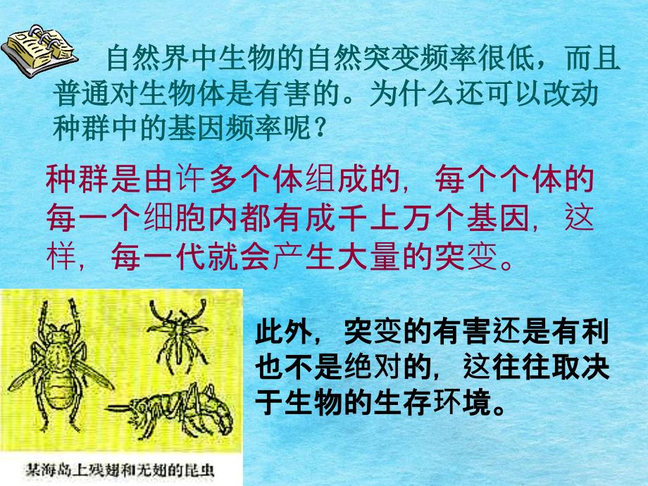 突变和基因重组产生进化的原材料自然选择决定生物进化的方向ppt课件_第4页