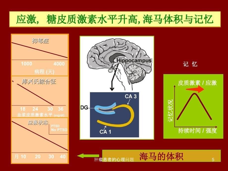 肿瘤患者的心理问题课件_第5页