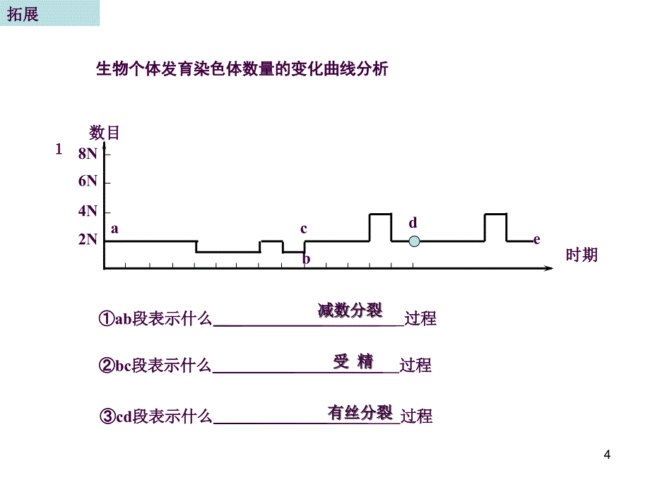 减数分裂专题复习ppt课件_第4页