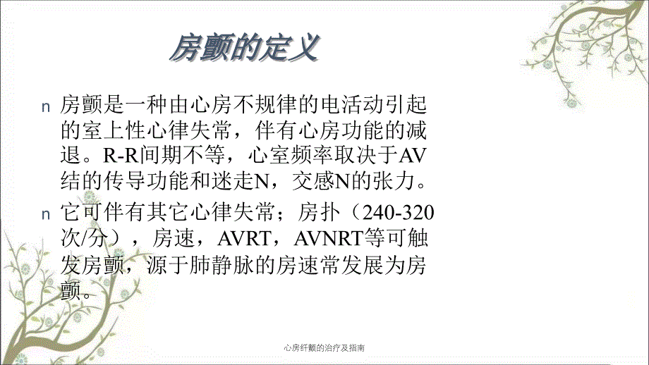 心房纤颤的治疗及指南_第2页