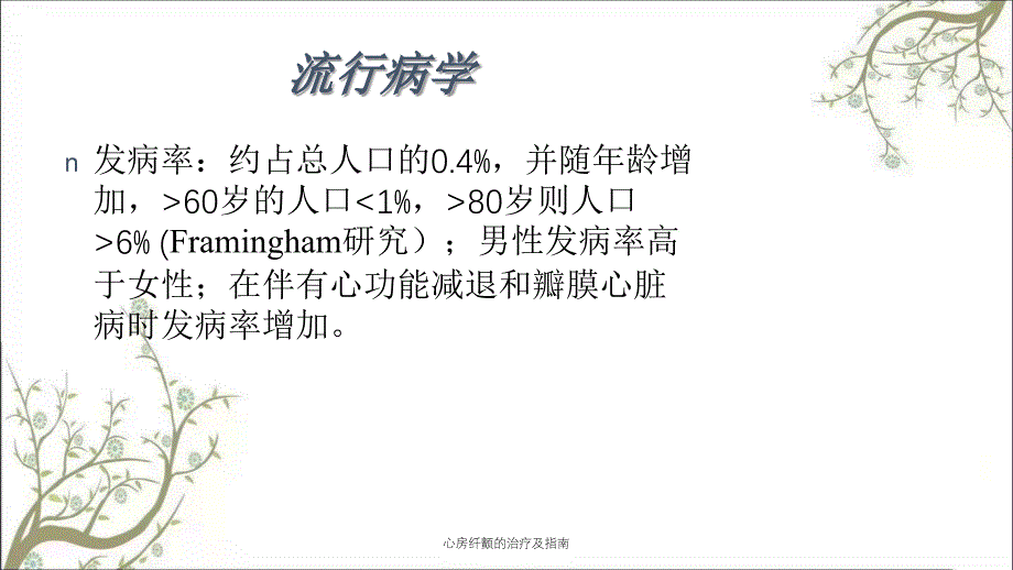 心房纤颤的治疗及指南_第4页