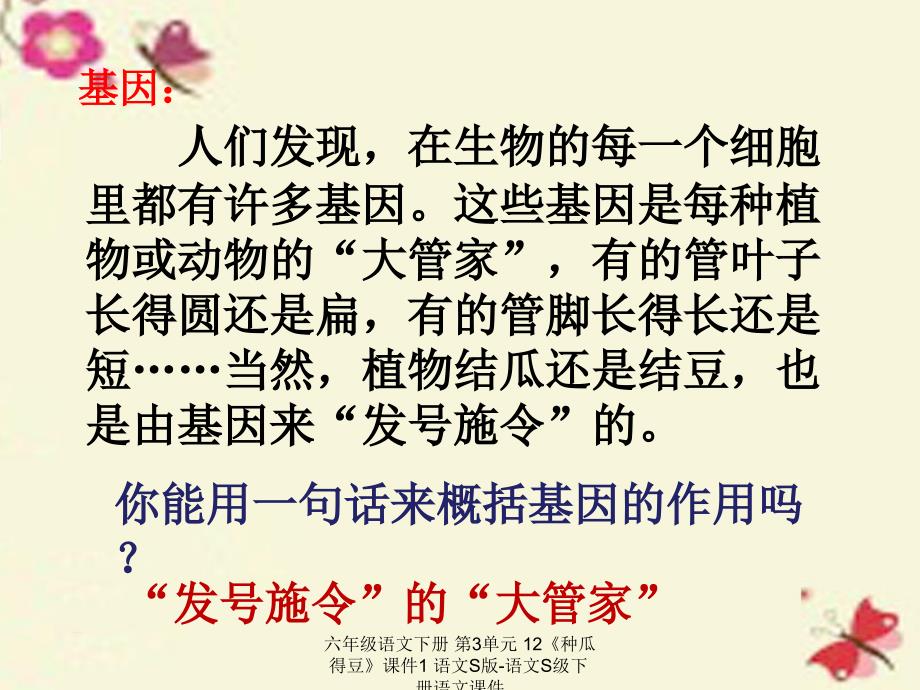 最新六年级语文下册第3单元12种瓜得豆课件1语文S版语文S级下册语文课件_第4页