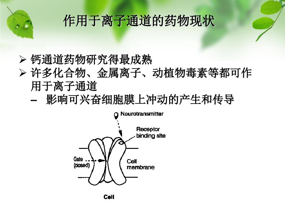 《钙通道阻滞剂》PPT课件_第4页