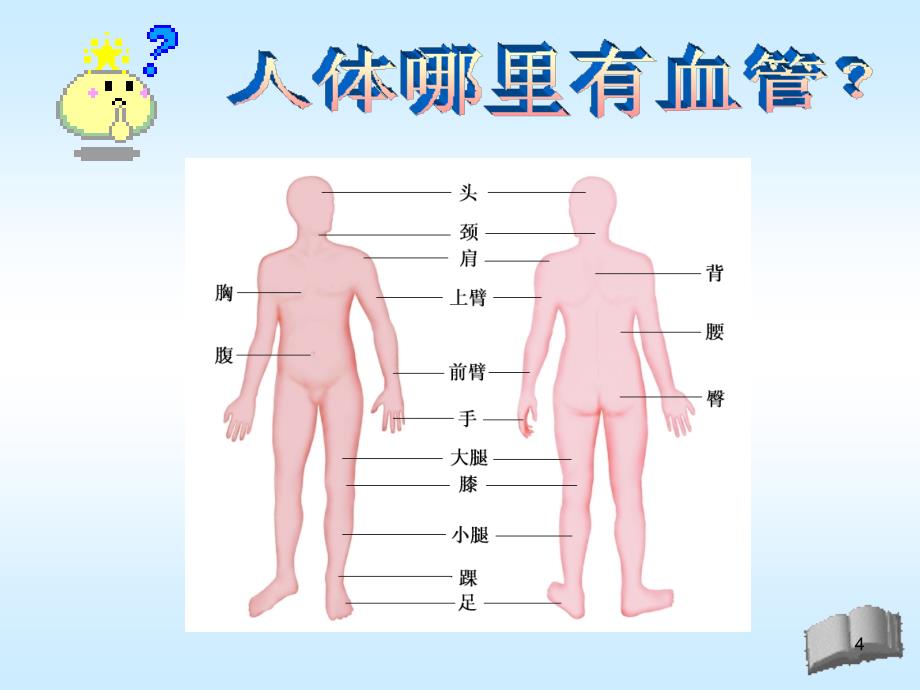 人体内的血管_第4页