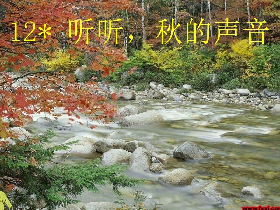12听听秋的声音(3)_第1页