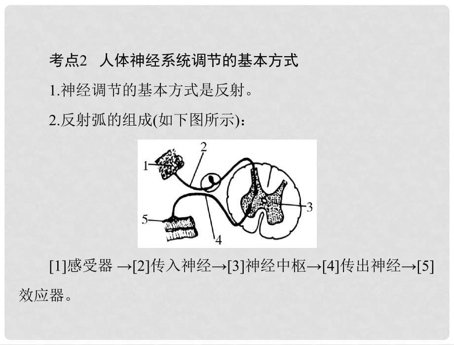 中考生物 第一部分 夯基提能 第四章 生物圈中的人 第四讲 人体的生命活动调节配套课件_第5页