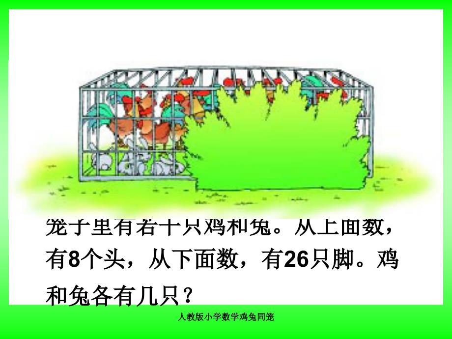 人教版小学数学鸡兔同笼课件_第3页