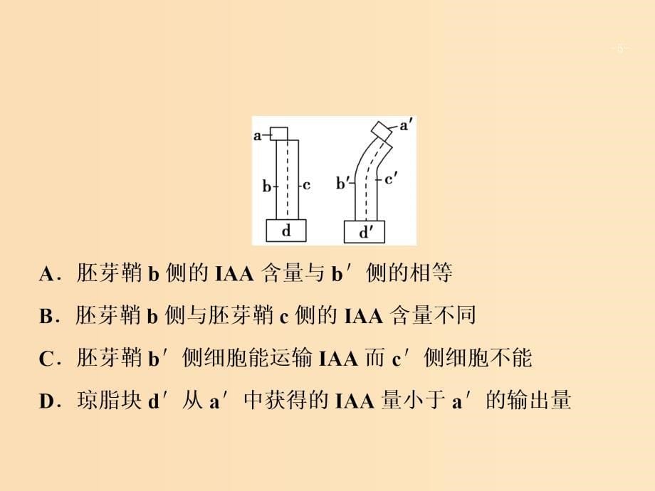 2018版高考生物二轮复习第一部分专题十一植物的激素调节课件新人教版.ppt_第5页