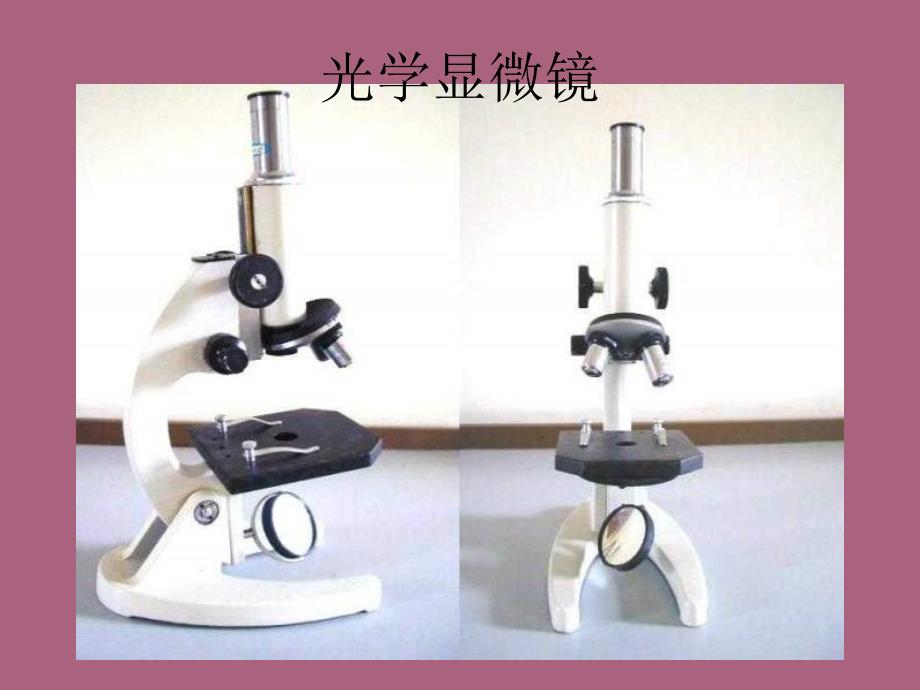 生物练习使用显微镜1ppt课件_第2页