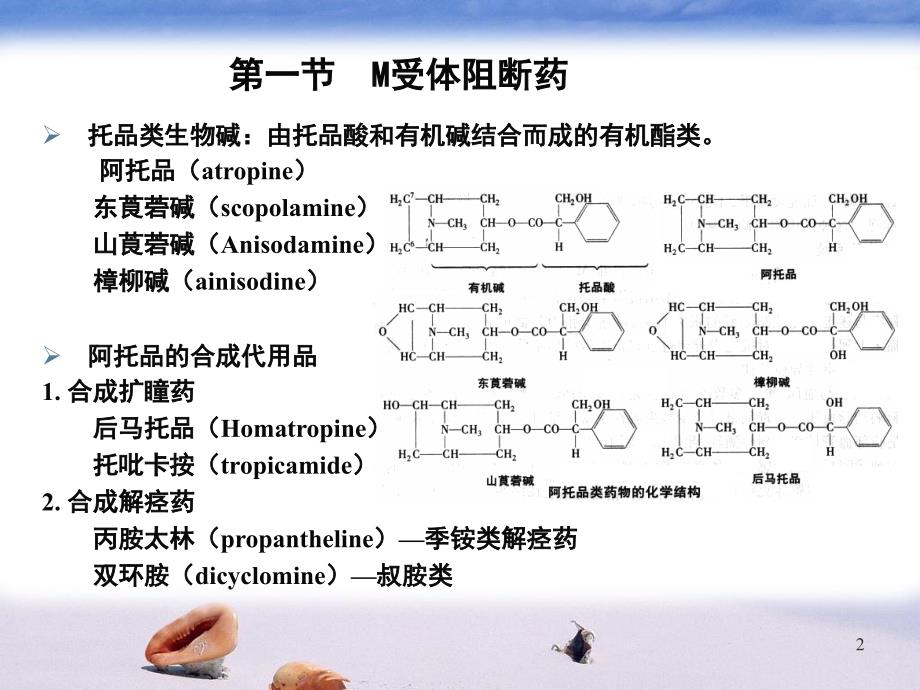 胆碱受体阻断药定义_第2页