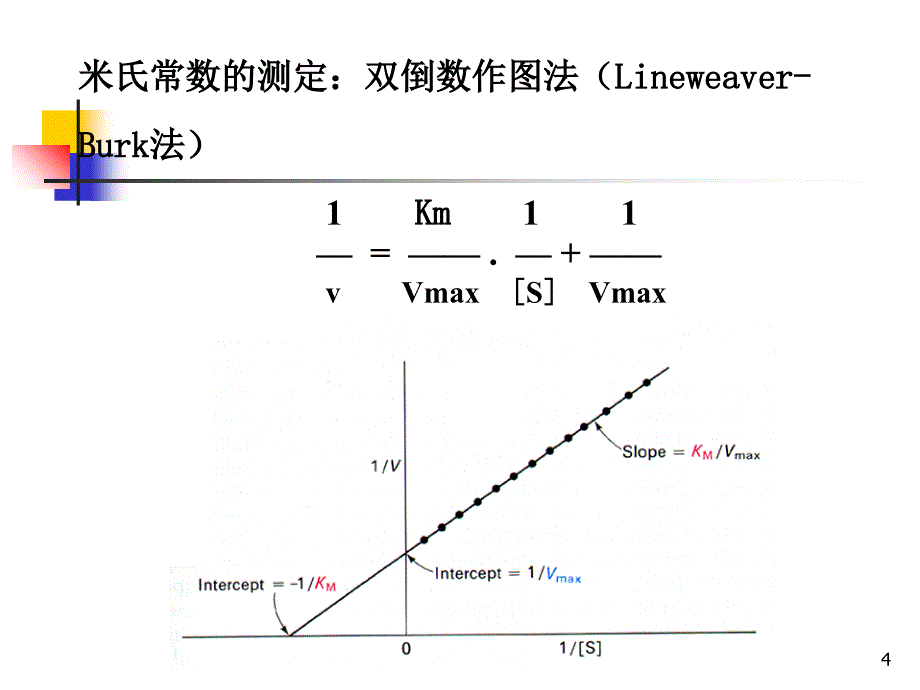 实验六--过氧化氢酶米氏常数(Km)的PPT优秀课件_第4页