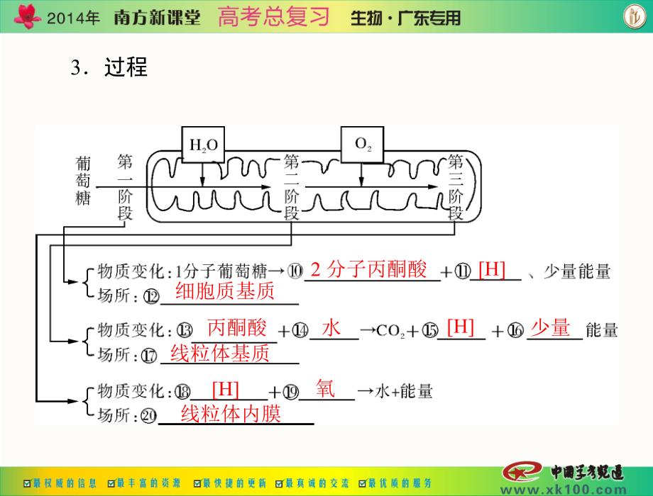 南方新课堂高考总复习生物 配套课件必修1 第5章 第3节 at的主要来源——细胞呼吸_第4页