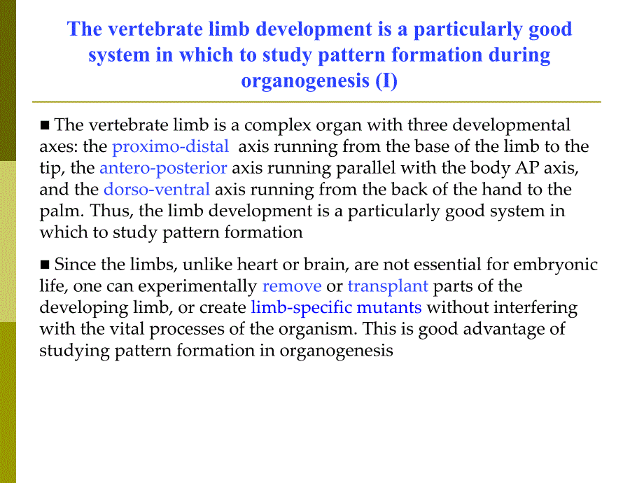 VI 胚层发育与器官系统发生(II)_第3页