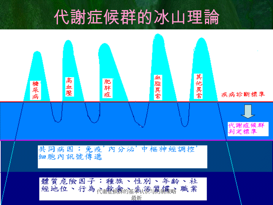 代谢症候群的基本认识与防制策略1_第4页