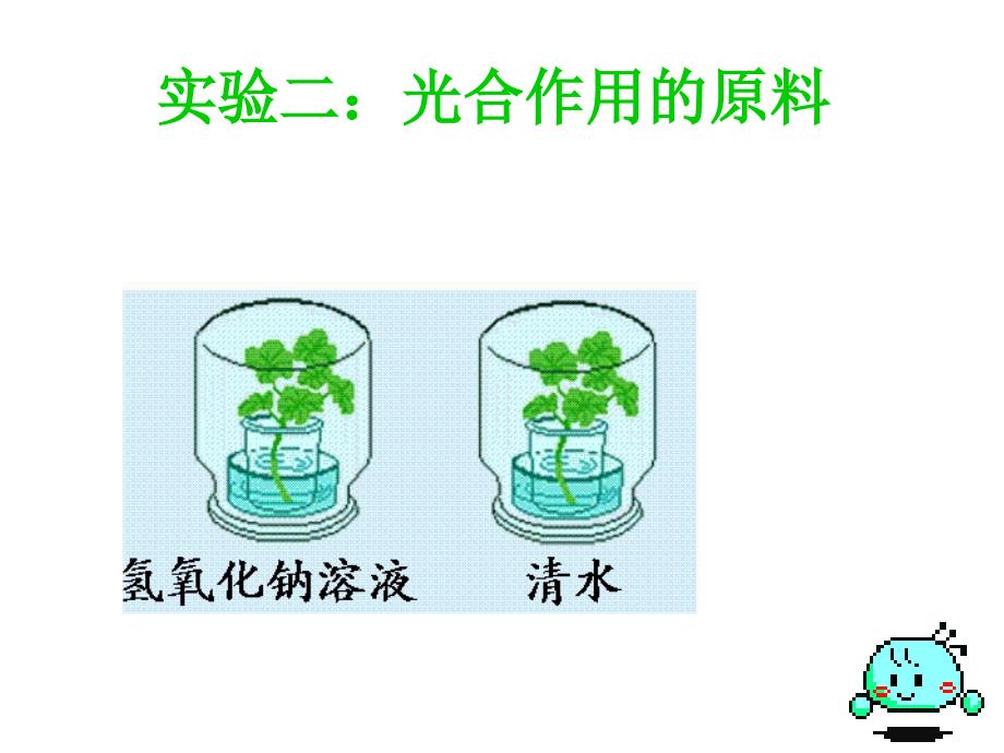 6绿色植物与生物圈中的碳氧平衡_第4页