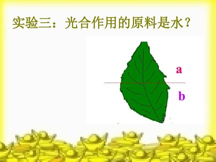 6绿色植物与生物圈中的碳氧平衡_第5页