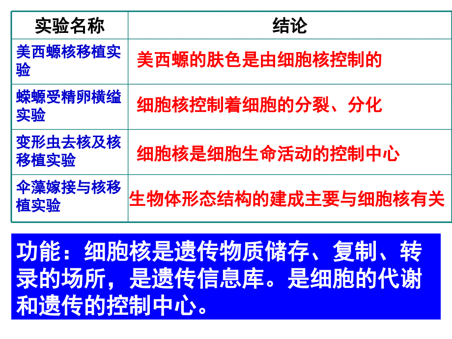 笔记： 第三细胞核_第2页