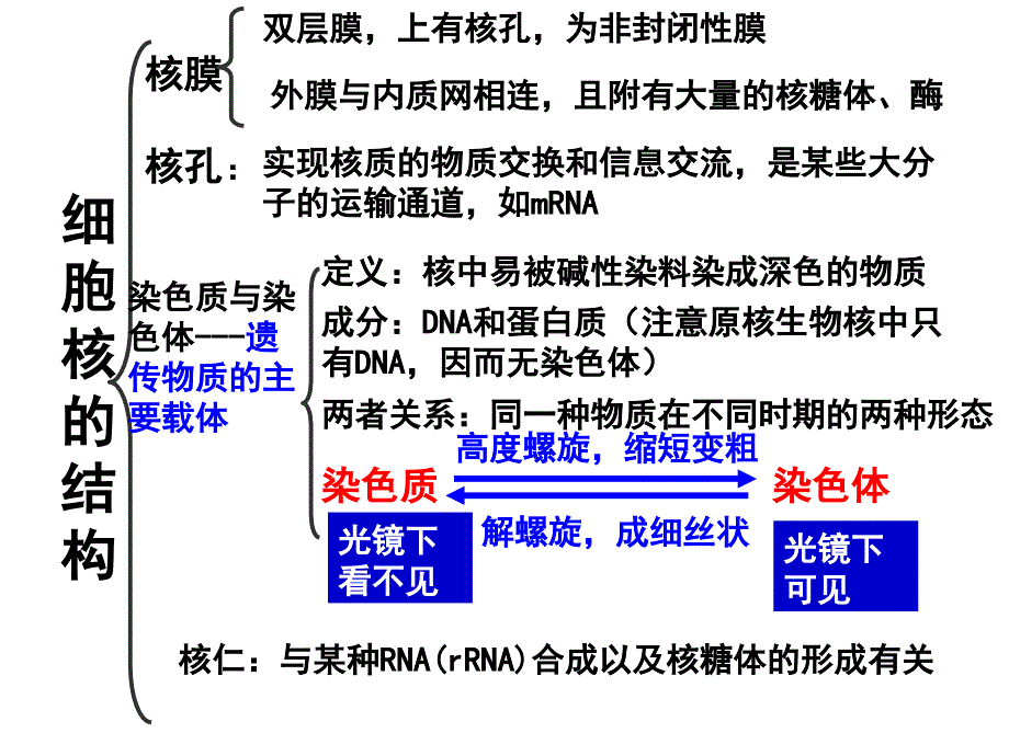 笔记： 第三细胞核_第3页