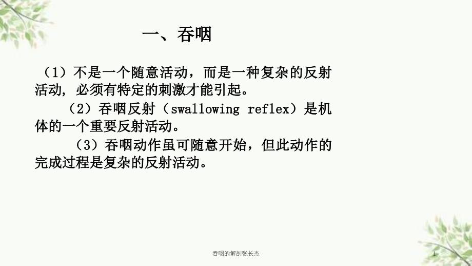 吞咽的解剖张长杰课件_第1页