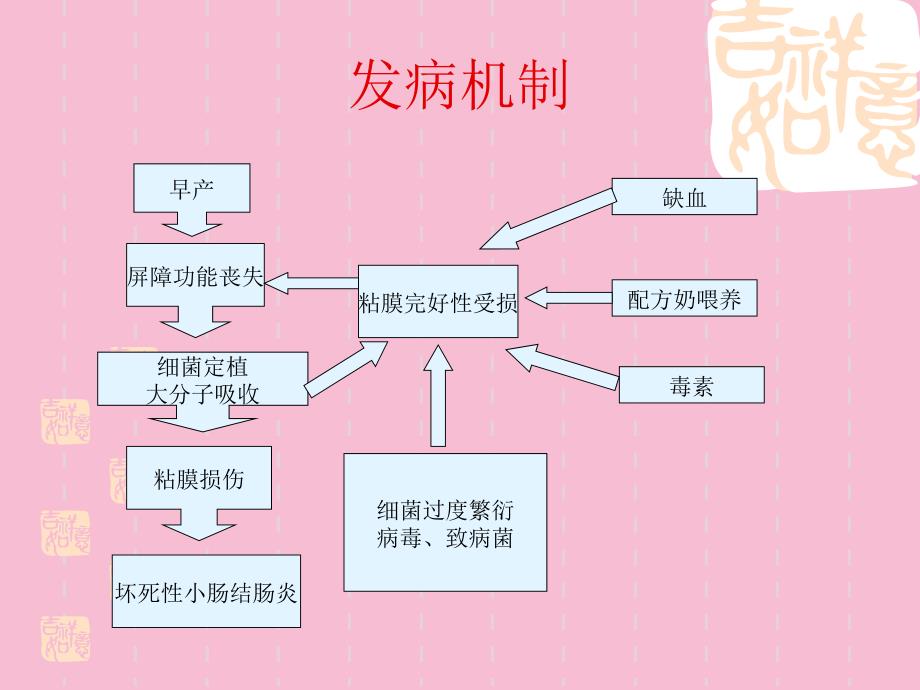 新生儿肠造口术后ppt课件_第4页