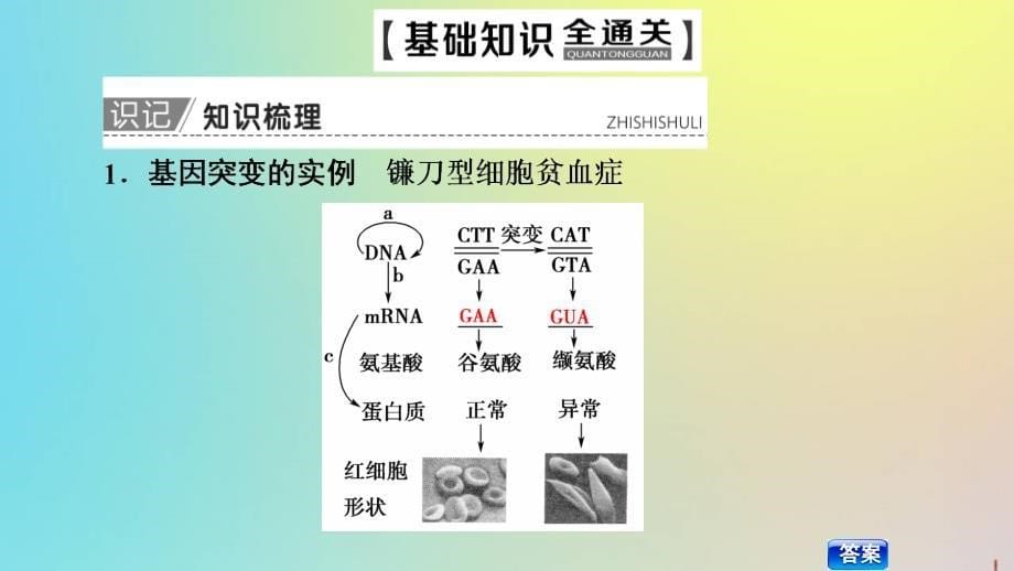 版高考生物一轮复习第7单元第1讲基因突变和基因重组课件新人教版_第5页