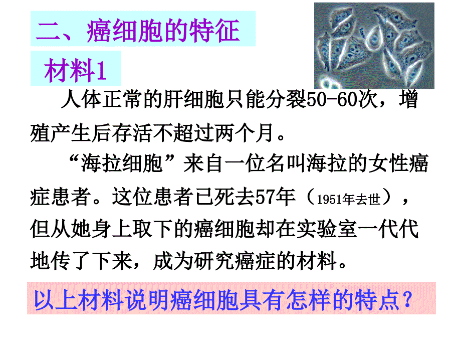 细胞的癌变生物必修一课件.ppt_第3页