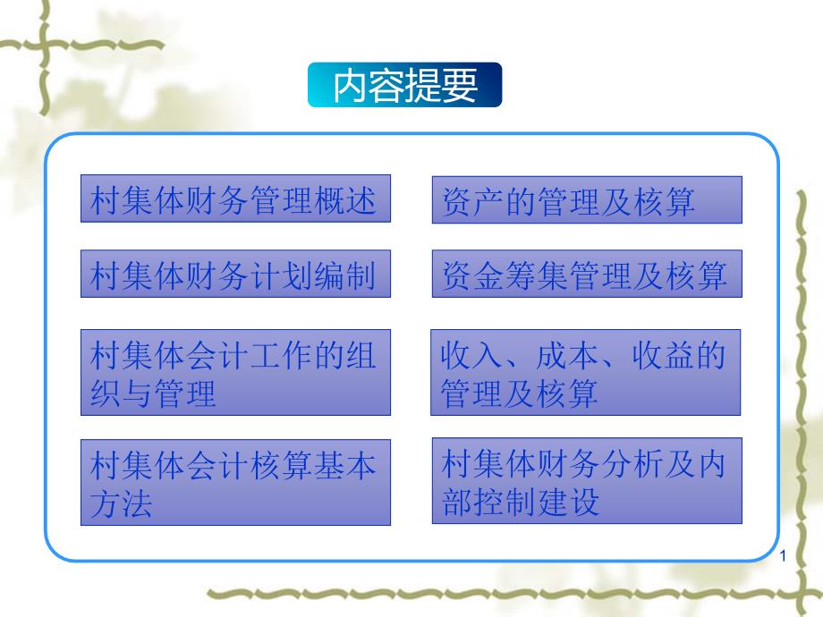 村集体经济组织财务及会计知识讲座课件_第1页