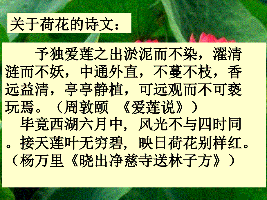 高中语文 荷塘月色6课件 新人教版必修2_第2页