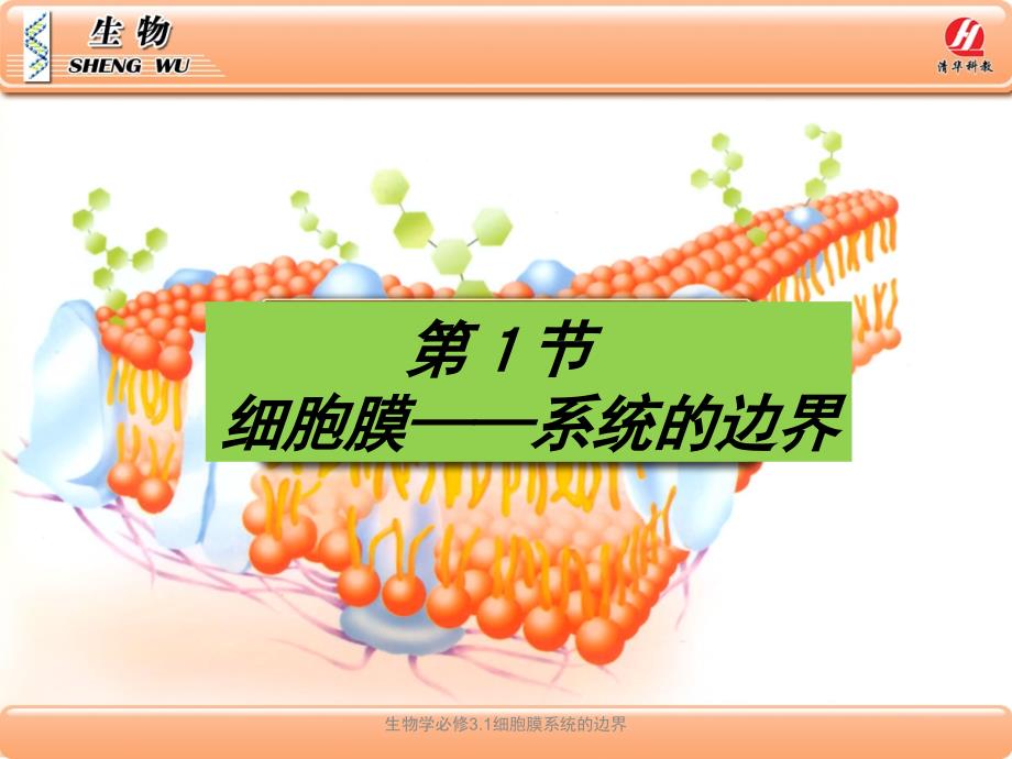 生物学必修3.1细胞膜系统的边界课件_第1页