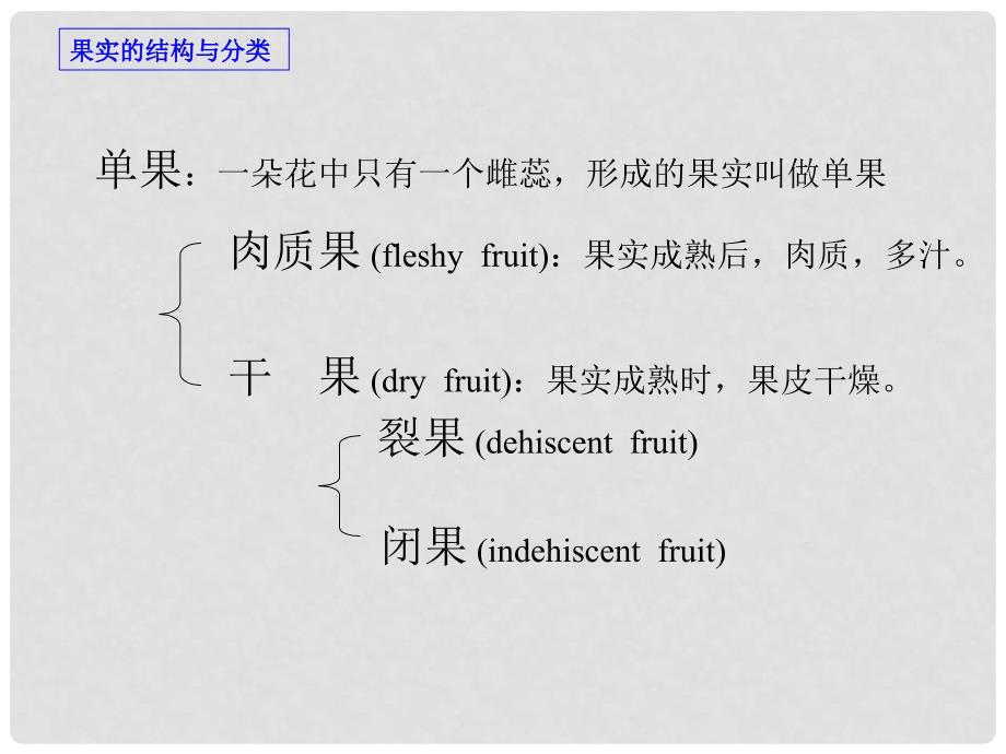 三年级科学下册 果实和种子 2课件 苏教版_第4页