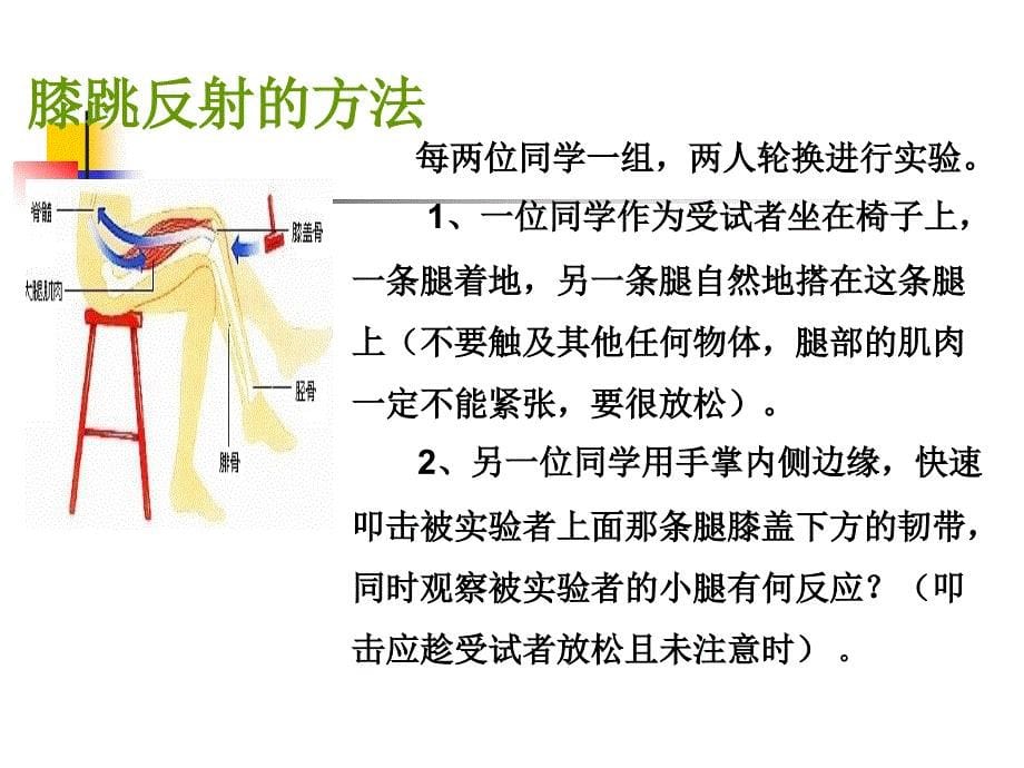 463神经调节的基本方式_第5页