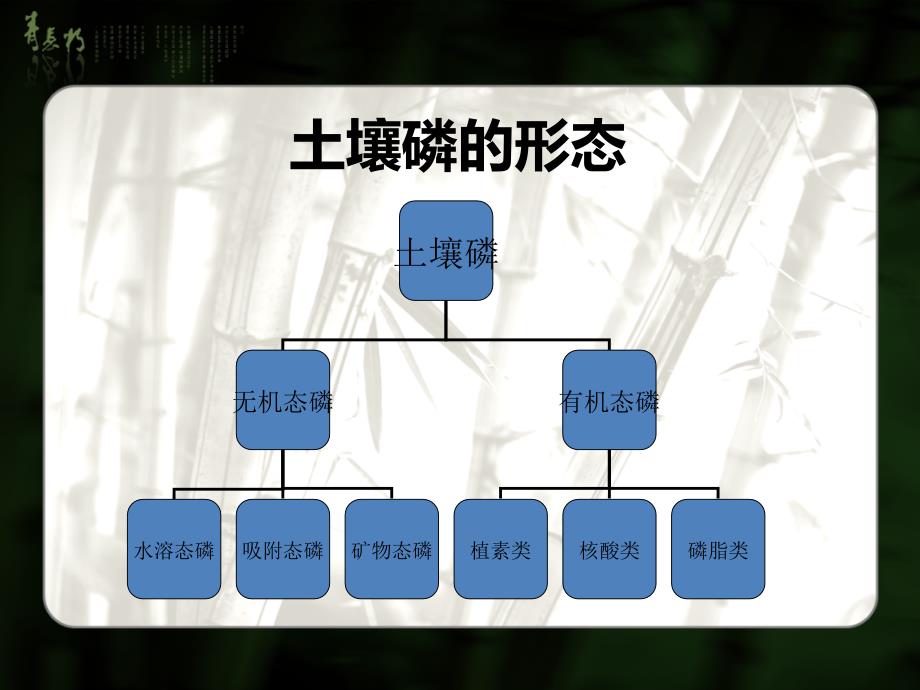 土壤中的磷素的转化特点与提高有效性措施_第2页