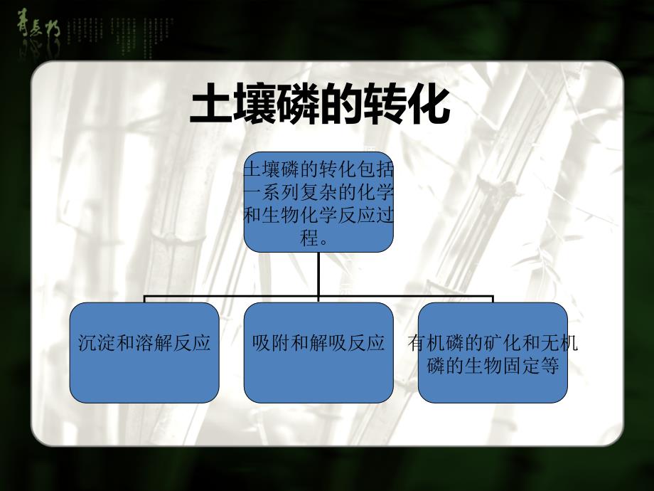 土壤中的磷素的转化特点与提高有效性措施_第3页