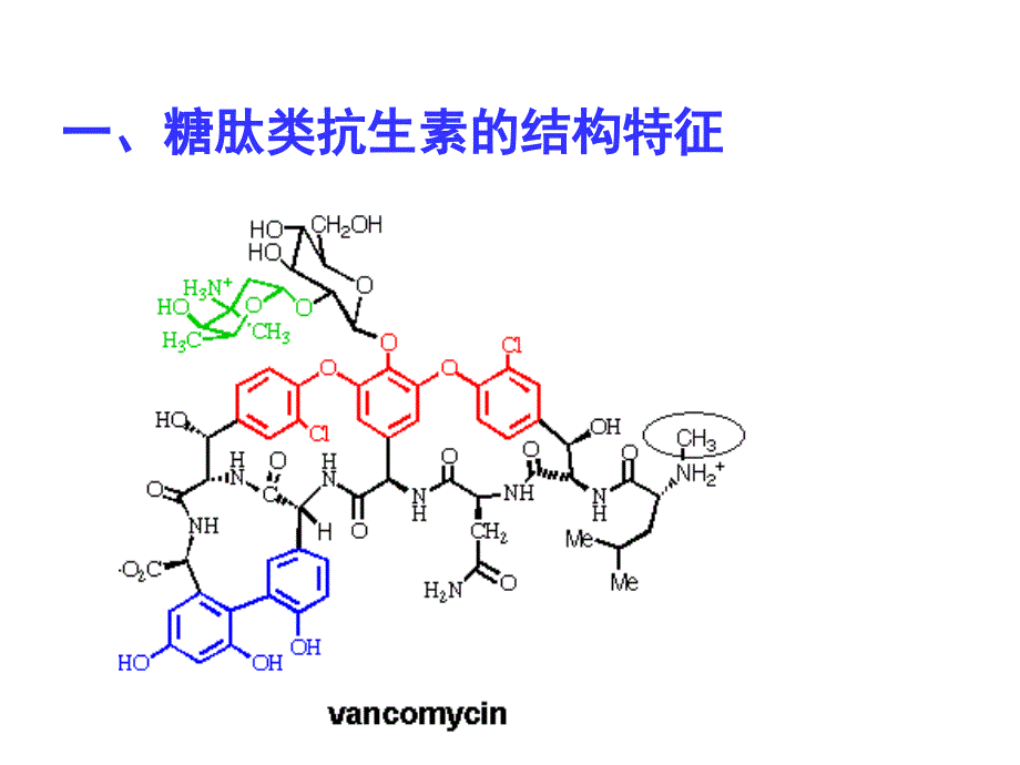 优质课件糖肽类抗生素_第2页