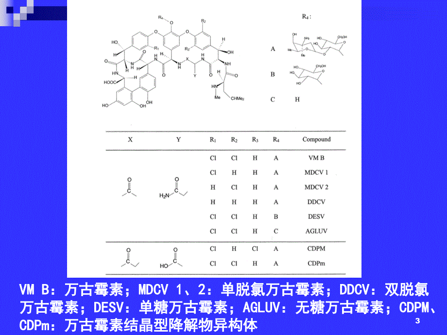 优质课件糖肽类抗生素_第3页