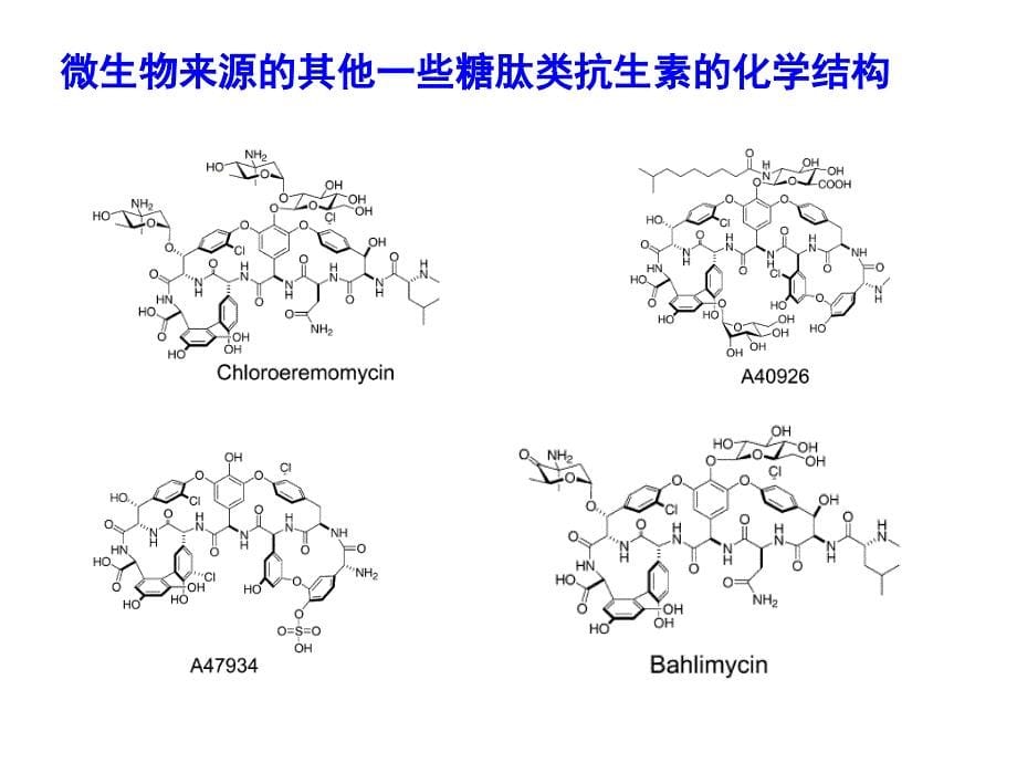 优质课件糖肽类抗生素_第5页