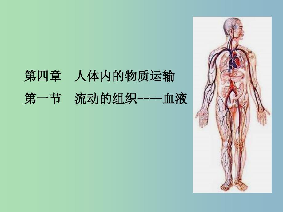 七年级生物下册 4.4.1 流动的组织─血液课件 新人教版.ppt_第1页