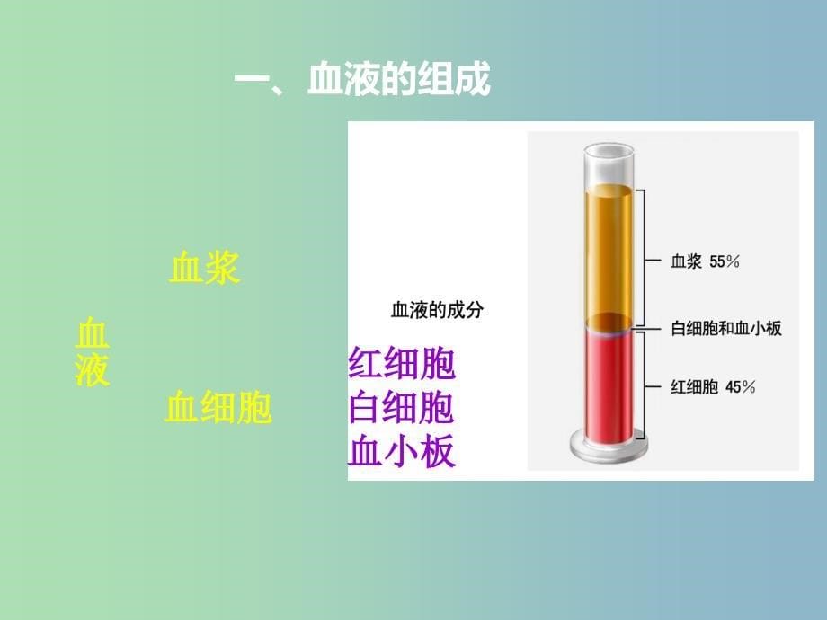 七年级生物下册 4.4.1 流动的组织─血液课件 新人教版.ppt_第5页